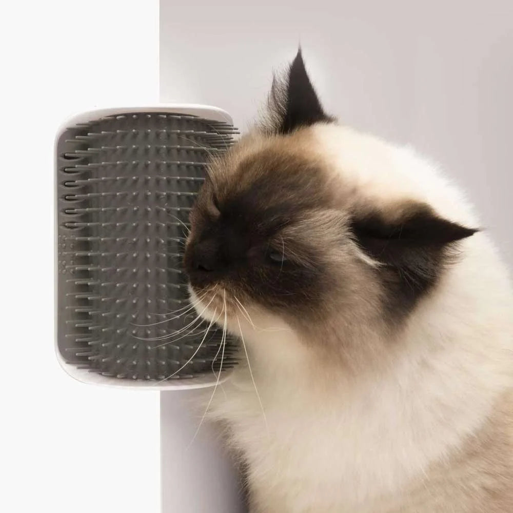 Cepillo con Catnip Catit