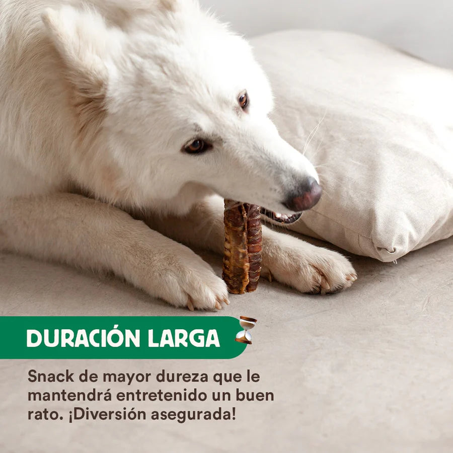 Tráqueas de Ternera
