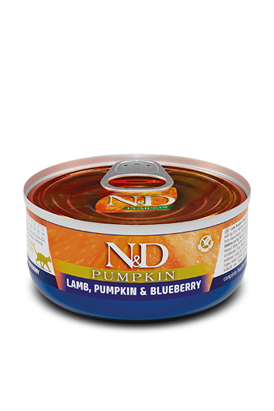 N&D Pumpkin Feline Cordero, Calabaza & Arándanos lata