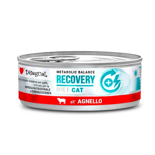 Disugual Diet Lata Recovery de Cordero para Gatos