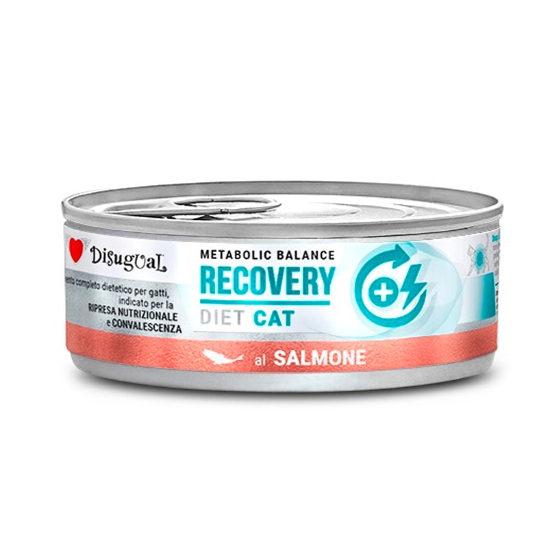 Disugual Diet Lata Recovery de Salmon para Gatos