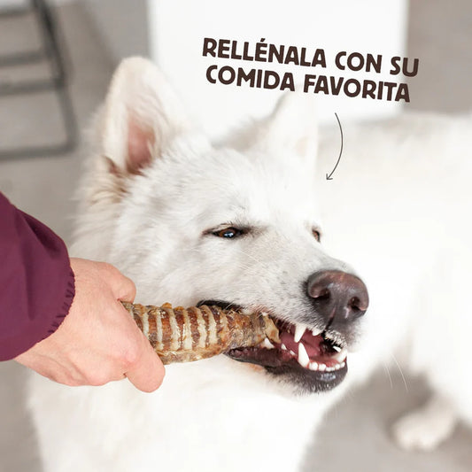 Tráqueas de Ternera